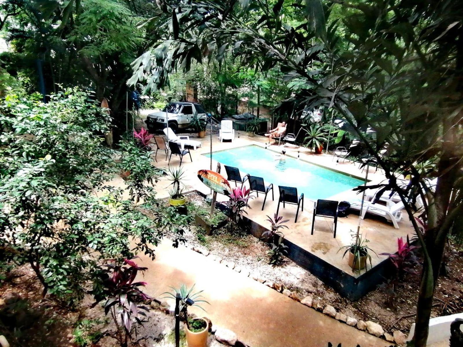 Casa Pura Vida Surf Hostel - Tamarindo Costa Rica Dış mekan fotoğraf