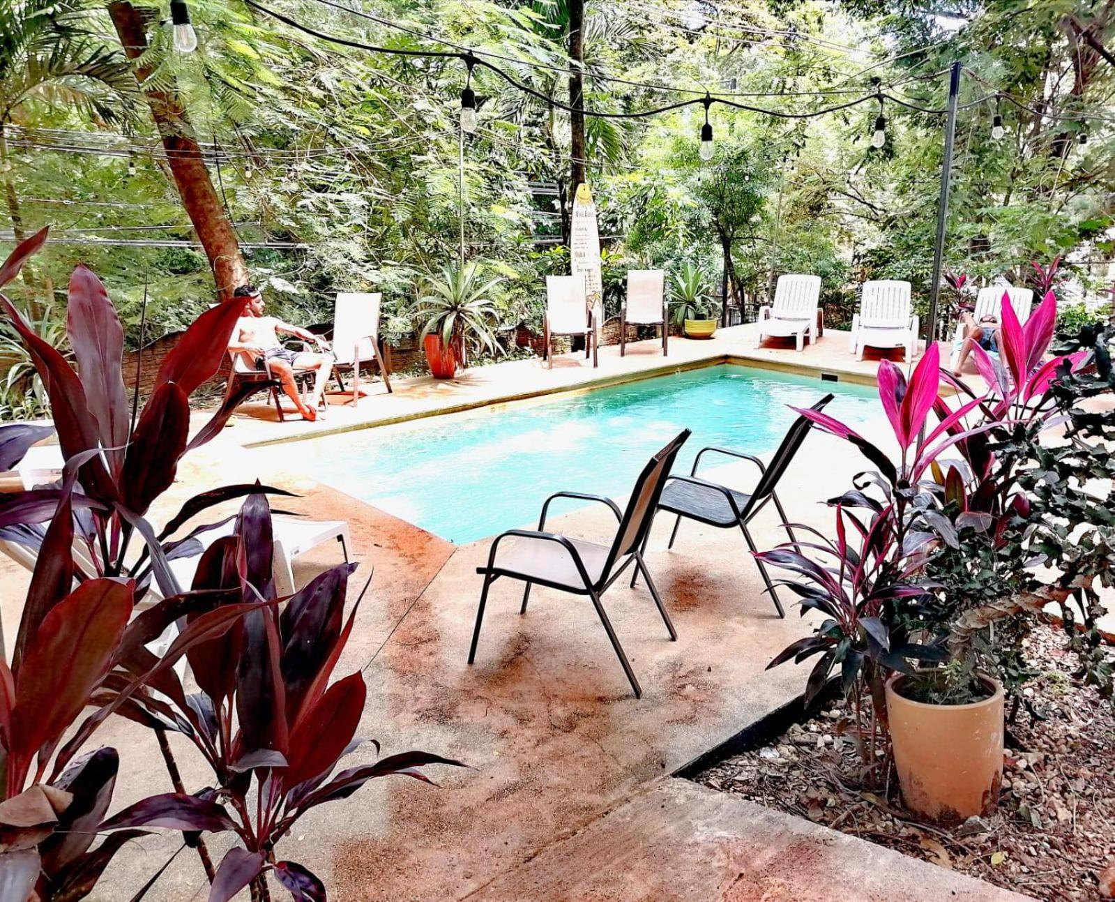 Casa Pura Vida Surf Hostel - Tamarindo Costa Rica Dış mekan fotoğraf
