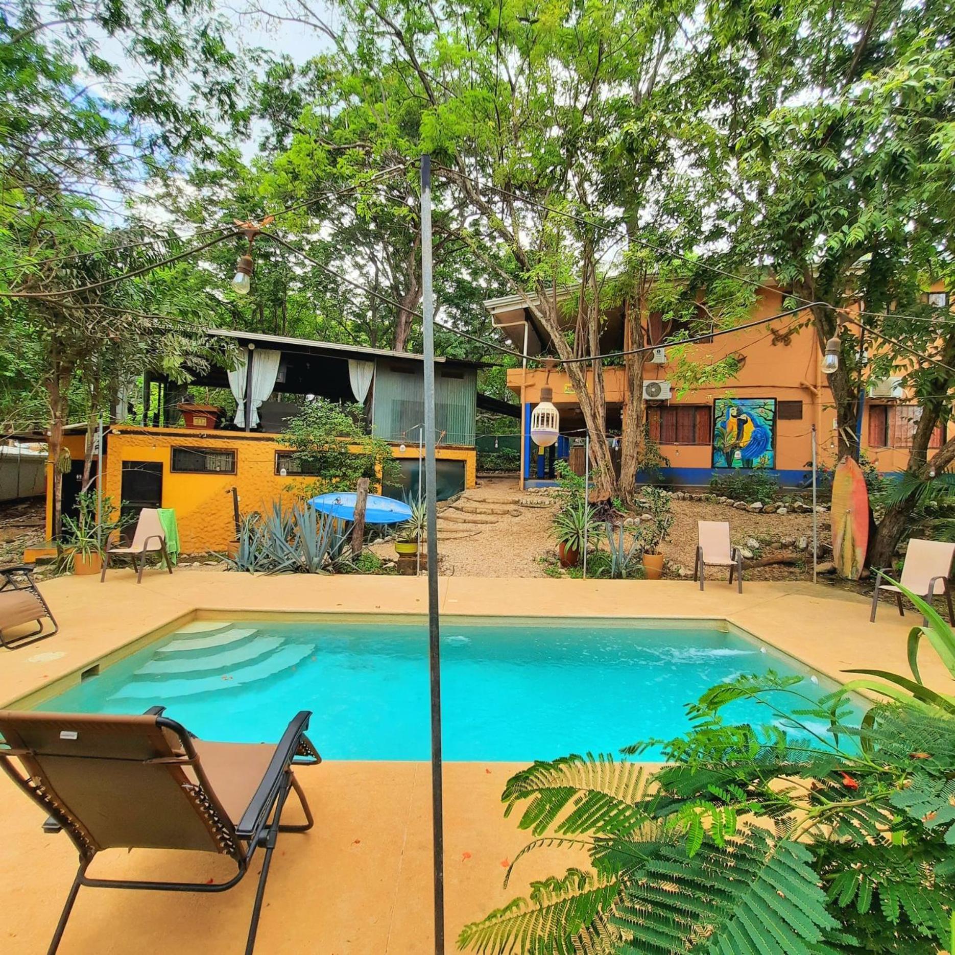 Casa Pura Vida Surf Hostel - Tamarindo Costa Rica Dış mekan fotoğraf