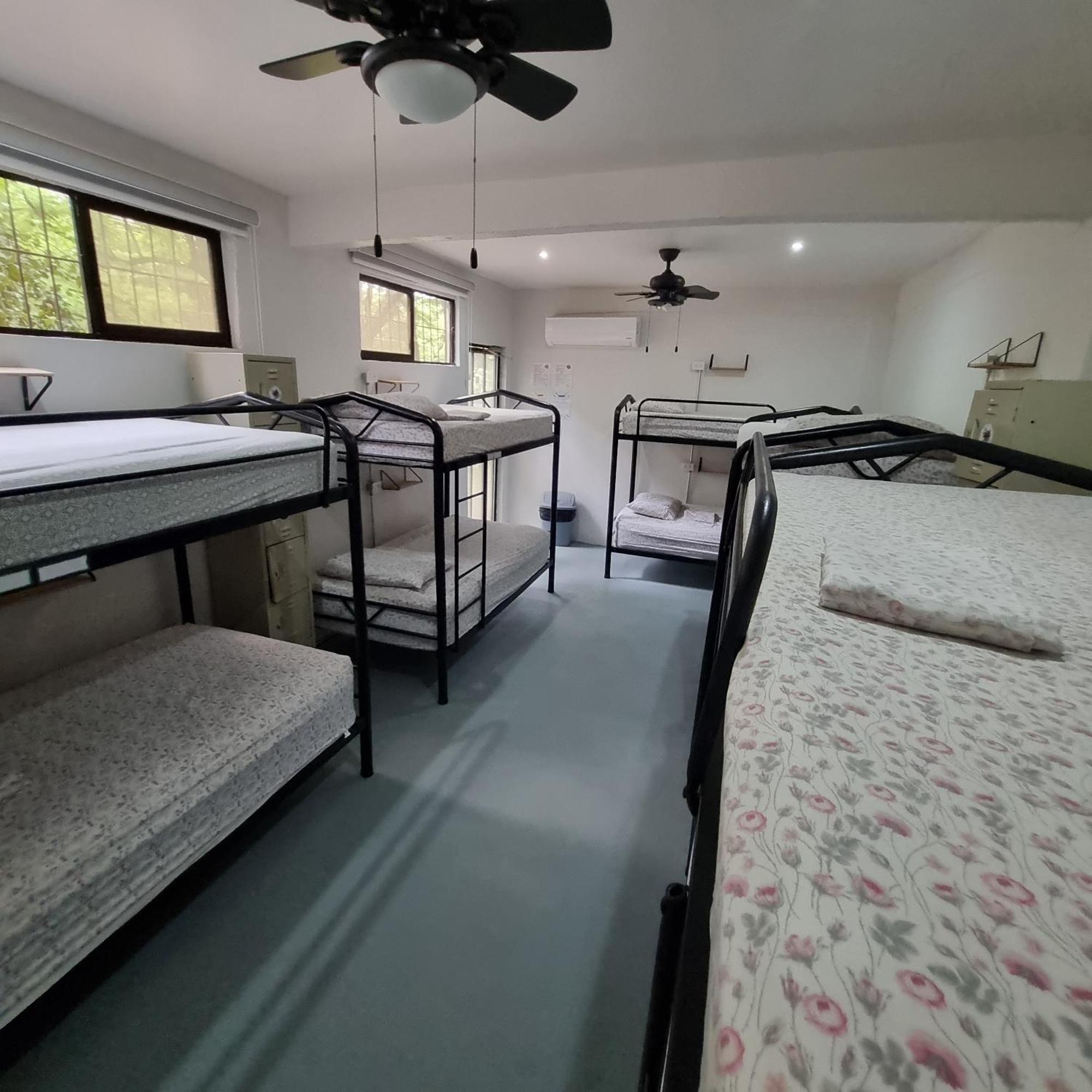 Casa Pura Vida Surf Hostel - Tamarindo Costa Rica Dış mekan fotoğraf