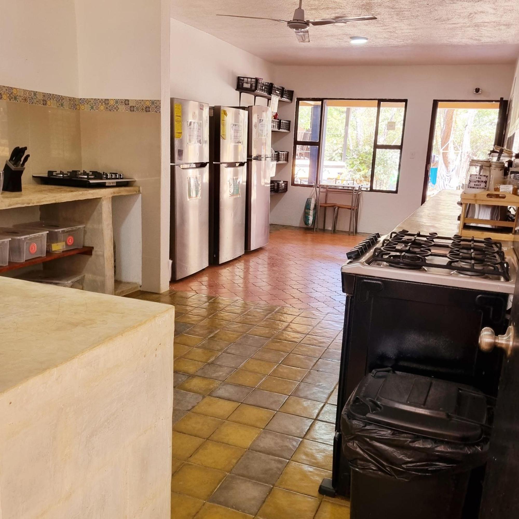 Casa Pura Vida Surf Hostel - Tamarindo Costa Rica Dış mekan fotoğraf