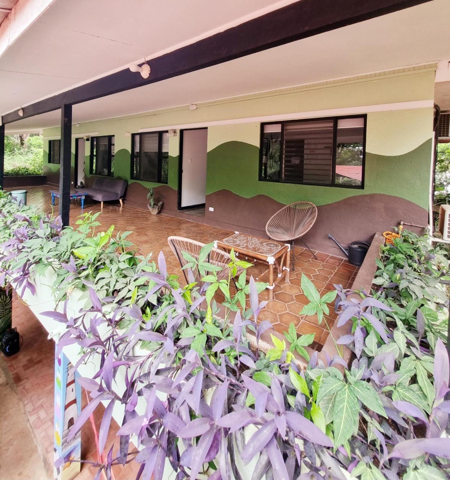 Casa Pura Vida Surf Hostel - Tamarindo Costa Rica Dış mekan fotoğraf