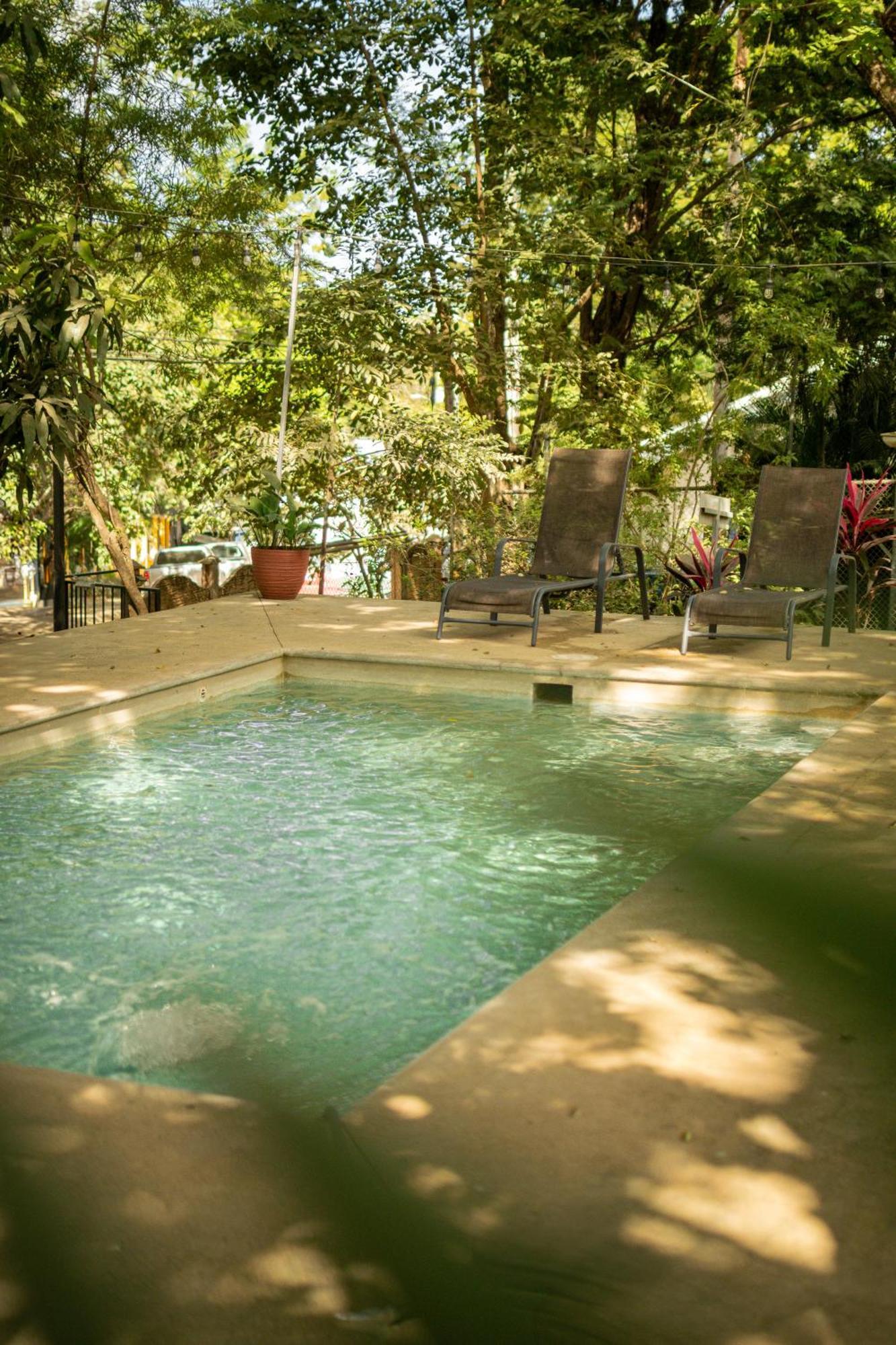 Casa Pura Vida Surf Hostel - Tamarindo Costa Rica Dış mekan fotoğraf